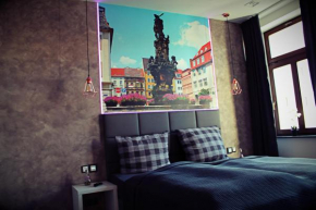 Family Apartments - Salzhausblick Ferienwohnungen, Zittau